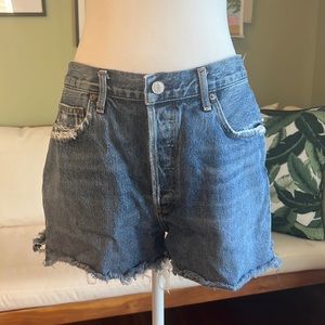 AGOLDE Dee Vintage High Rise Short 30